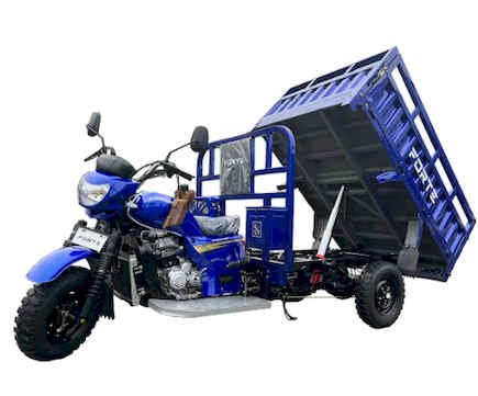 Трицикл вантажний FORTE CT-302H
